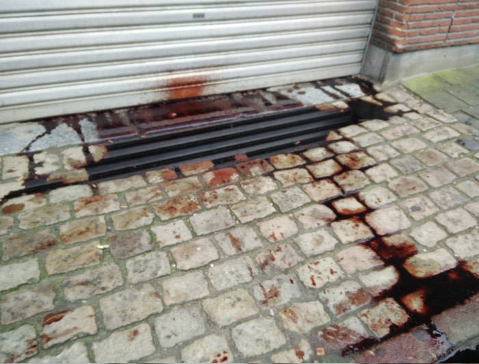 Без паники - это искусство