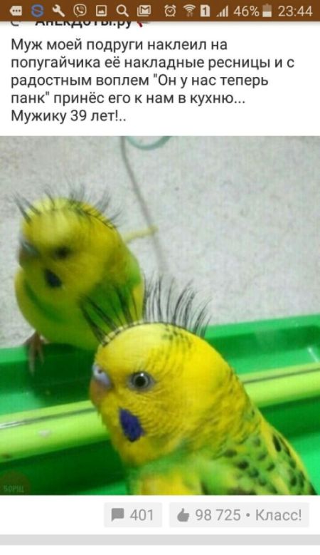 Прикольные картинки