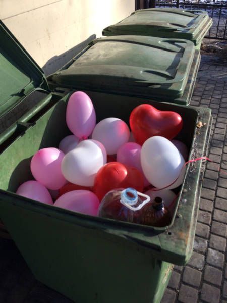 Прикольные картинки