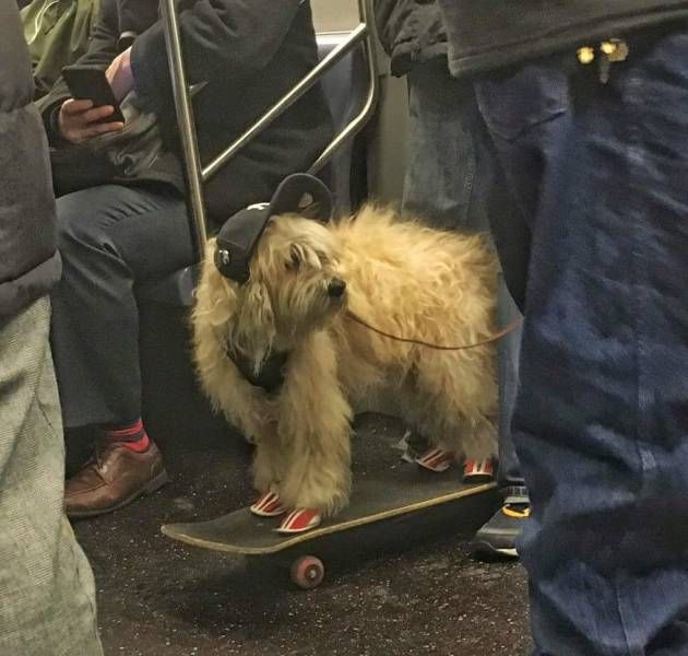 Прикольные картинки