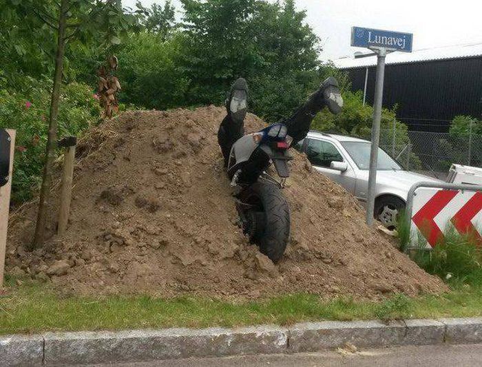 Прикольные картинки