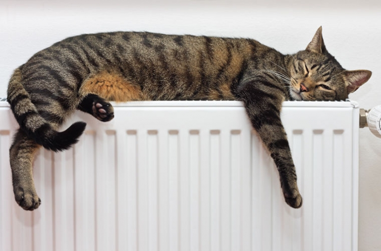 Холод и шубы: что иностранцы думают о русской зиме