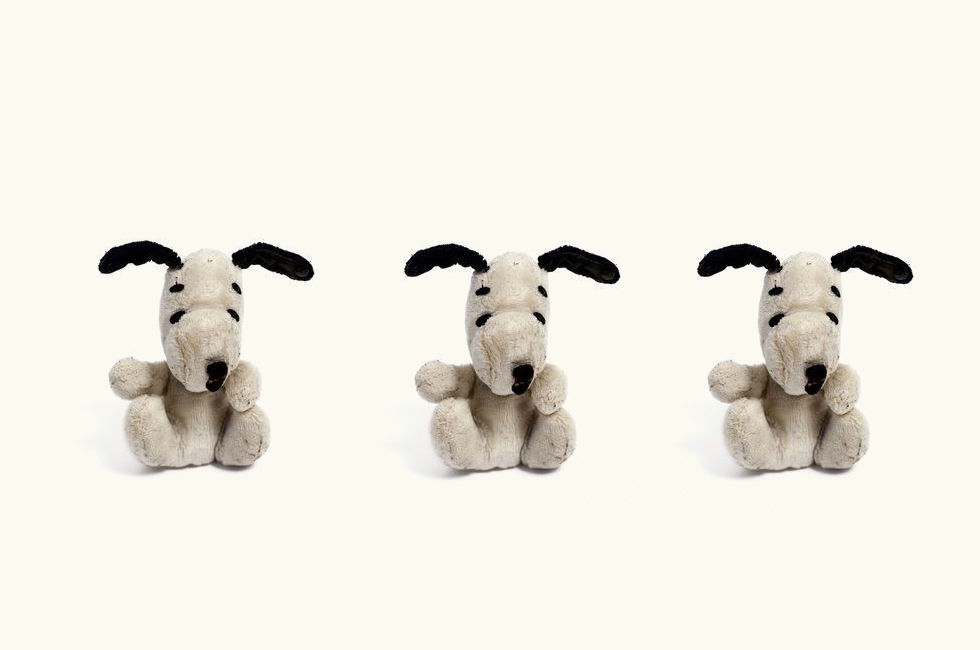 Десять экспонатов из Музея разбитых сердец