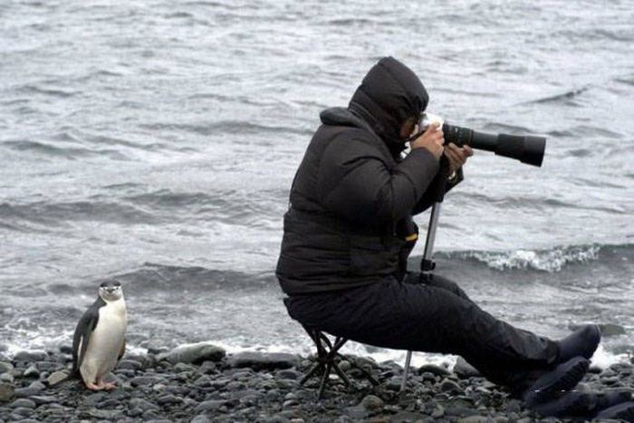Фотографом быть нелегко