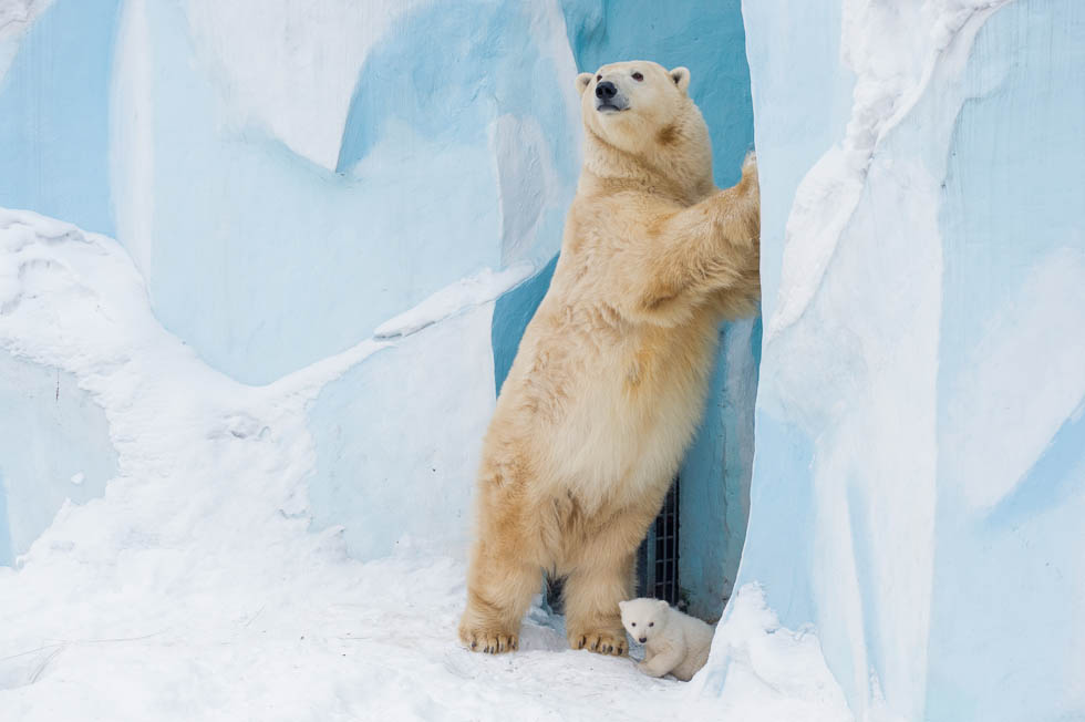 Вышли из укрытия Вышли из укрытия