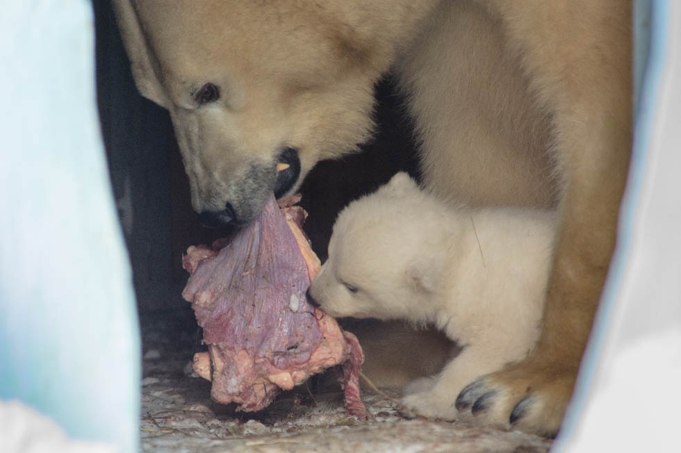 Вышли из укрытия Вышли из укрытия