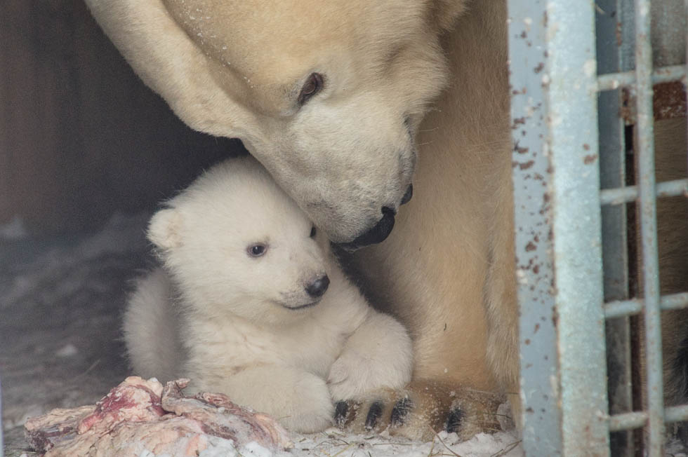 Вышли из укрытия Вышли из укрытия