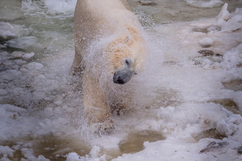 Вышли из укрытия Вышли из укрытия