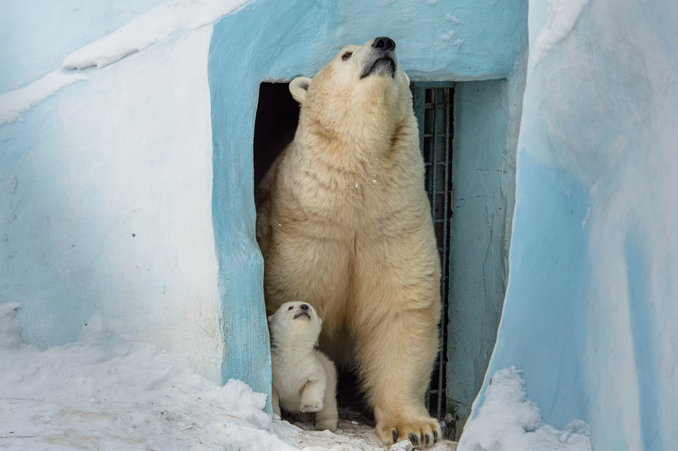 Вышли из укрытия Вышли из укрытия