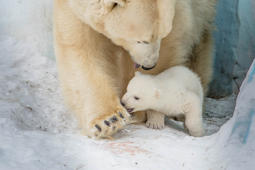 Вышли из укрытия Вышли из укрытия