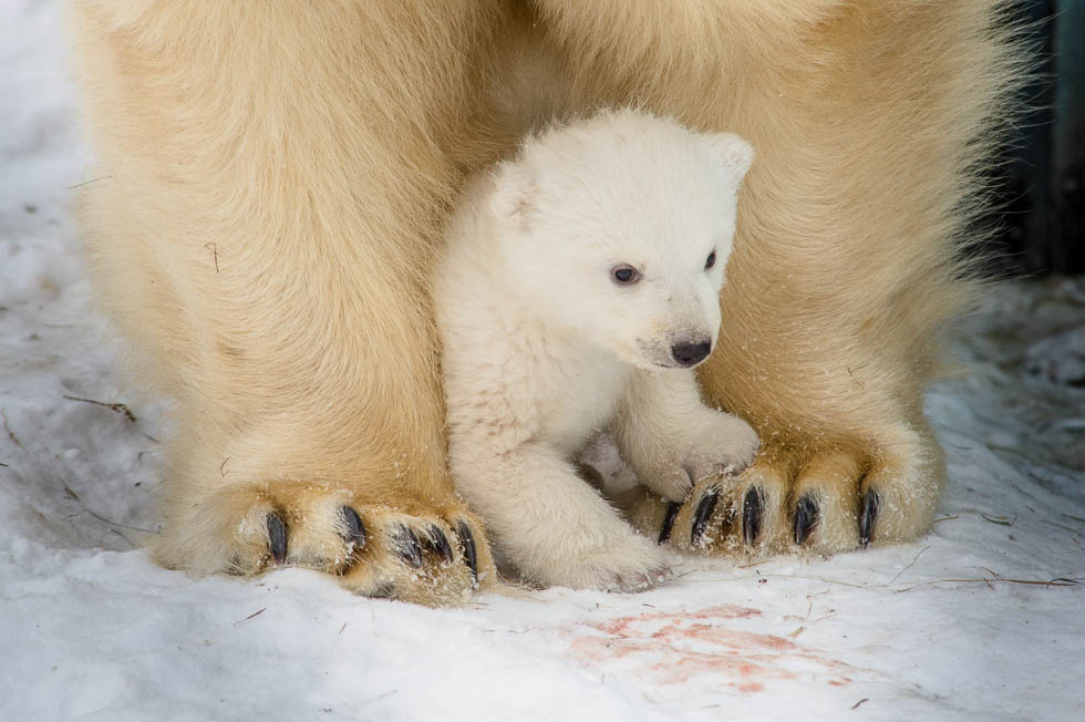 Вышли из укрытия Вышли из укрытия