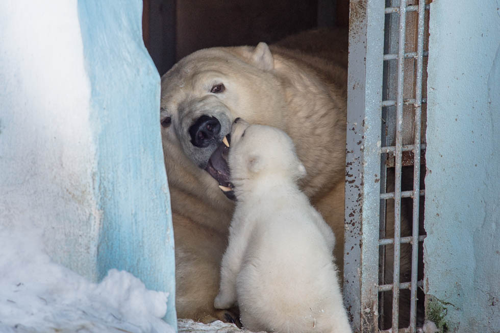 Вышли из укрытия Вышли из укрытия