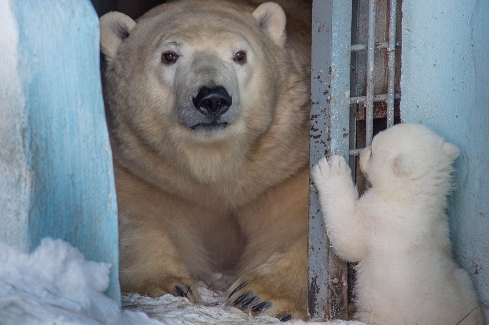 Вышли из укрытия Вышли из укрытия