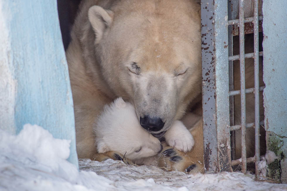 Вышли из укрытия Вышли из укрытия