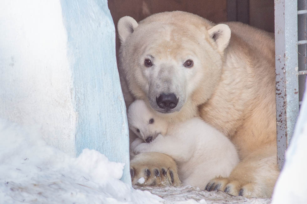 Вышли из укрытия Вышли из укрытия