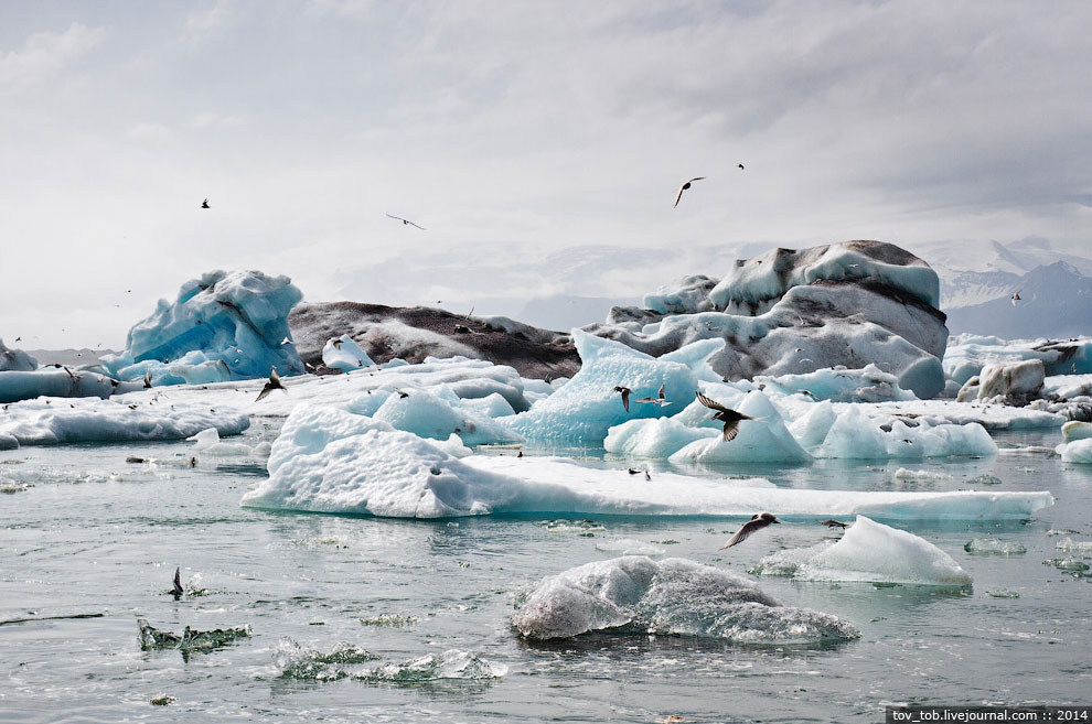 Ледниковая лагуна в Исландии