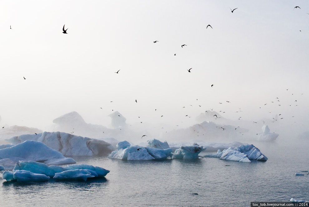 Ледниковая лагуна в Исландии