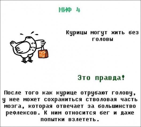 Мифы и легенды (21 фото)