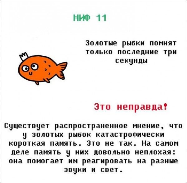 Мифы и легенды (21 фото)