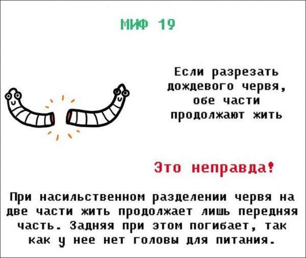 Мифы и легенды (21 фото)