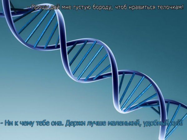 Прикольные картинки (107 фото)