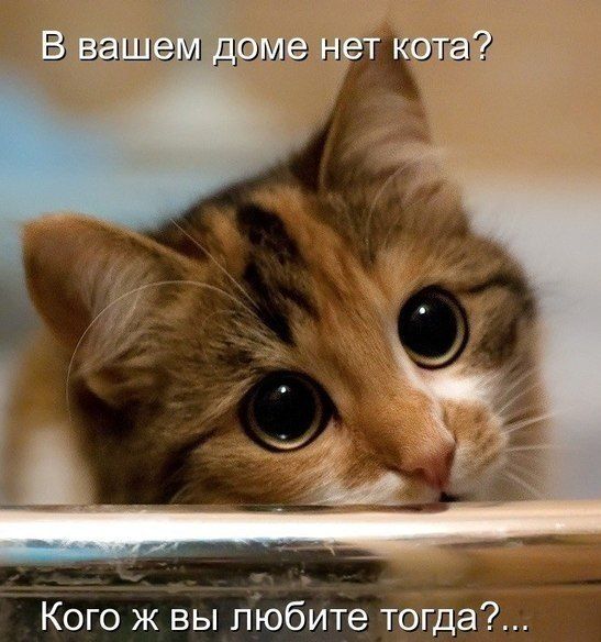 Прикольные картинки (107 фото)