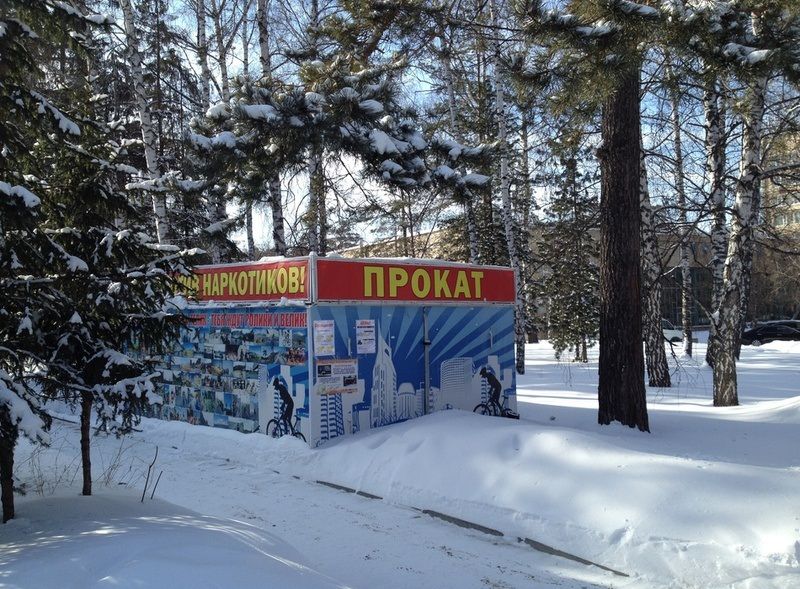 Прикольные картинки (107 фото)