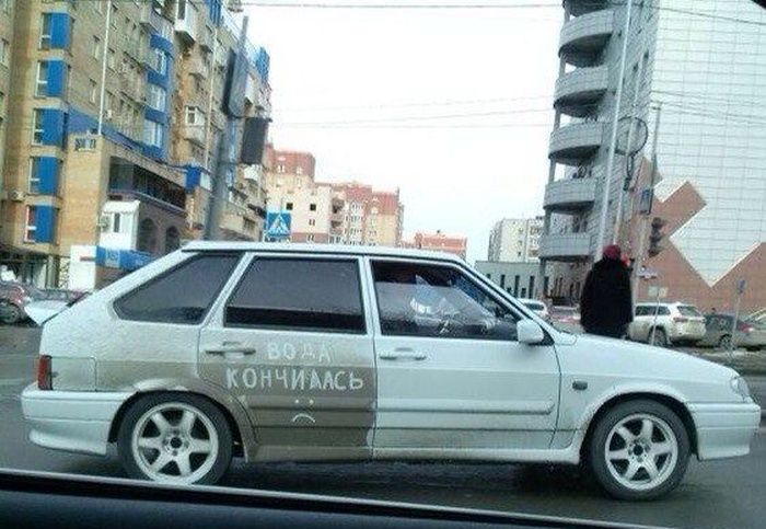 Прикольные картинки (107 фото)