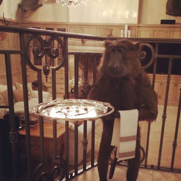 Прикольные картинки (107 фото)