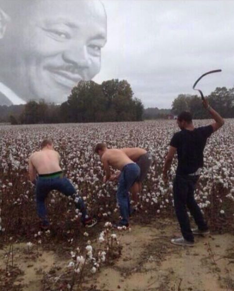 Прикольные картинки (107 фото)