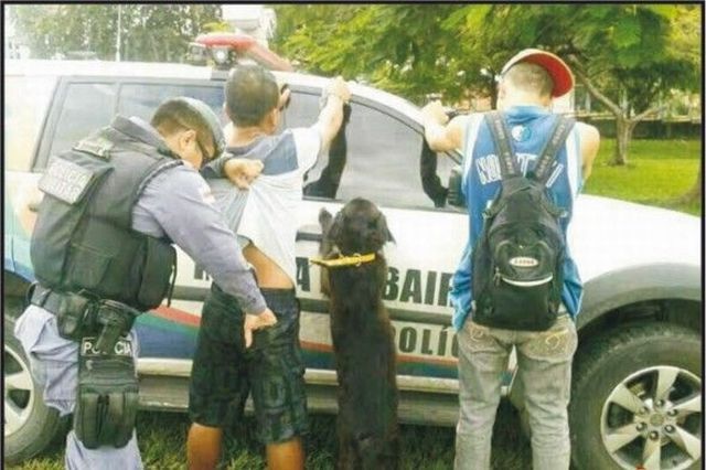 Прикольные картинки (107 фото)