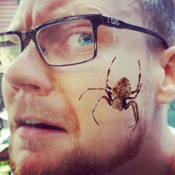 Прикольные картинки (107 фото)