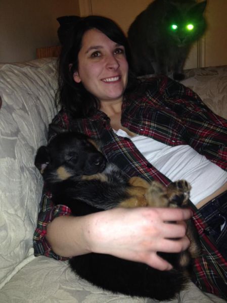 Прикольные картинки (107 фото)