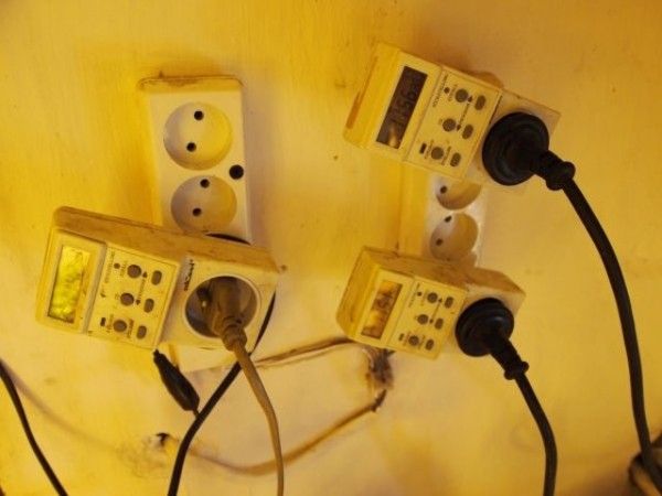 Домашний огород (5 фото)