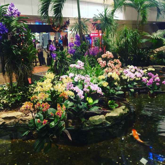 Аэропорт Чанги в Сингапуре - лучший аэропорт в мире