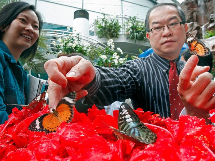 Аэропорт Чанги в Сингапуре - лучший аэропорт в мире