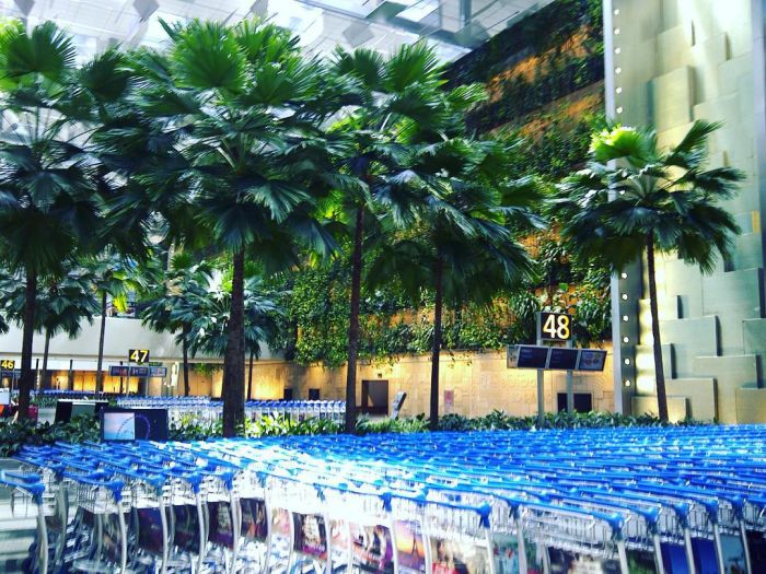 Аэропорт Чанги в Сингапуре - лучший аэропорт в мире