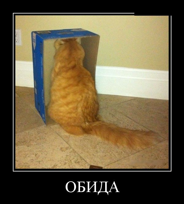 Демотиваторы