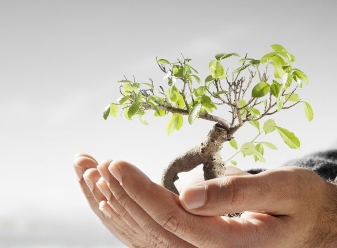 Всего одна вещь, которая поможет наладить любые взаимоотношения