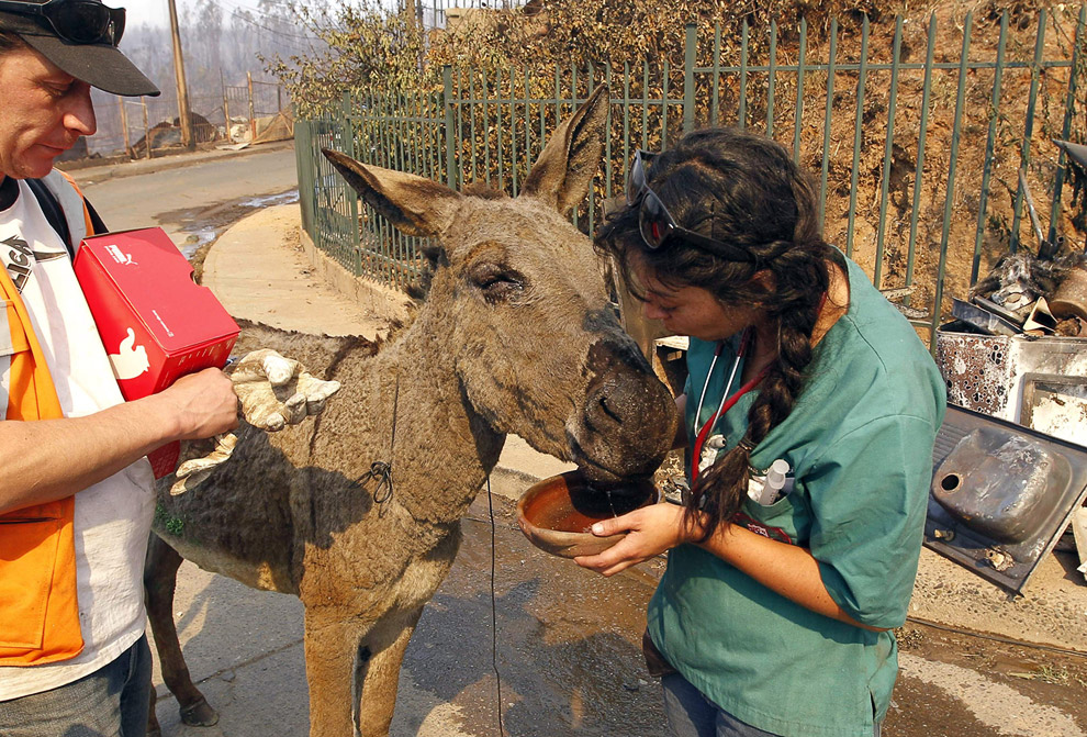 Рекордный пожар в Вальпараисо