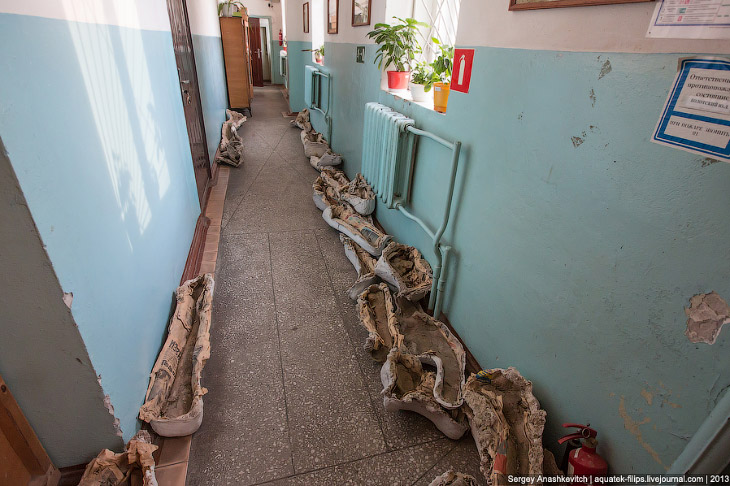 Как реставрируют динозавров Как реставрируют динозавров