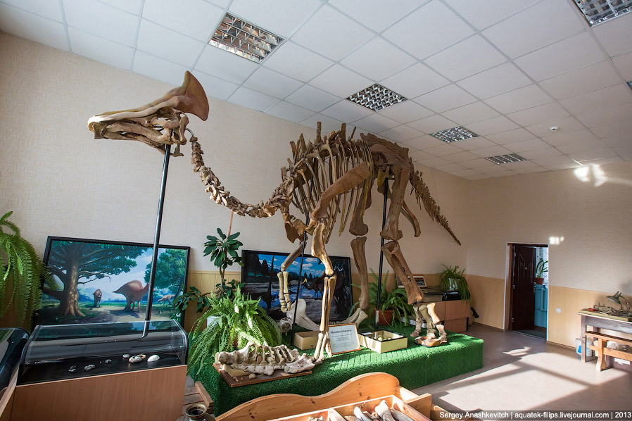 Как реставрируют динозавров Как реставрируют динозавров