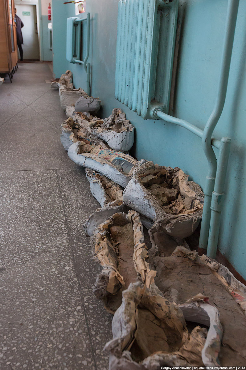 Как реставрируют динозавров Как реставрируют динозавров