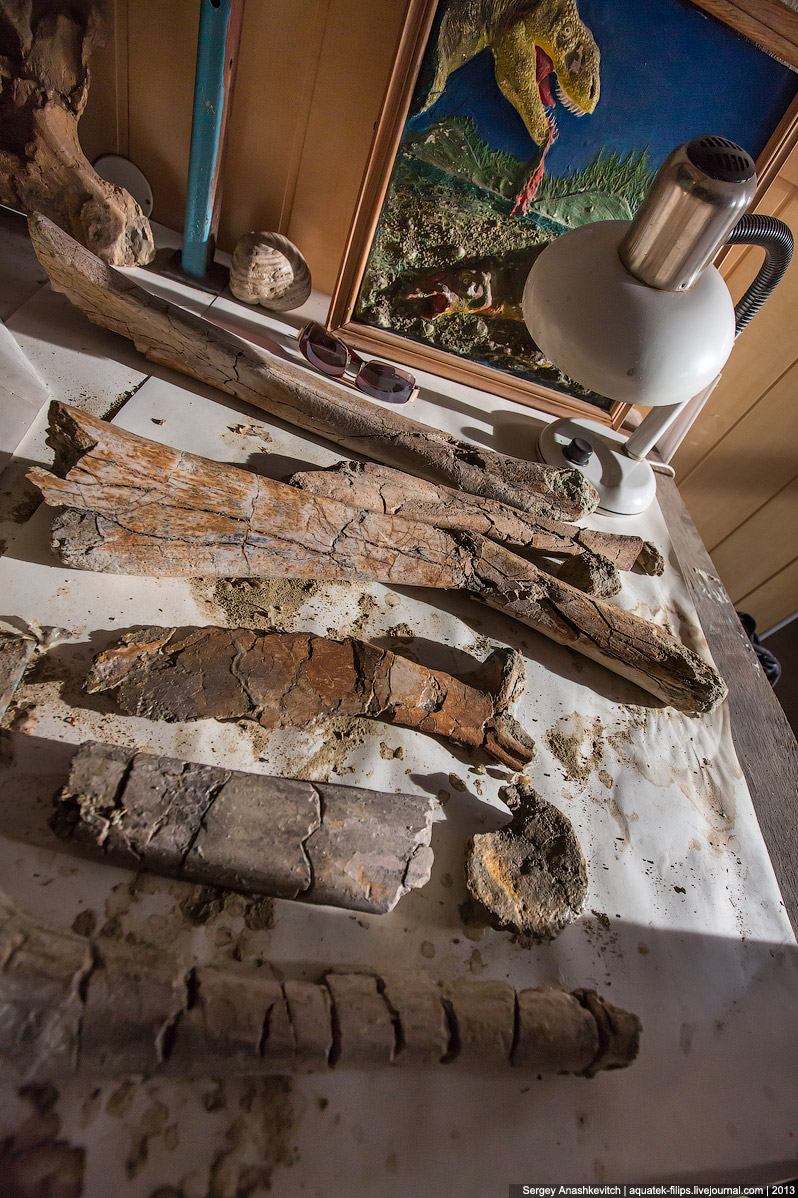 Как реставрируют динозавров Как реставрируют динозавров