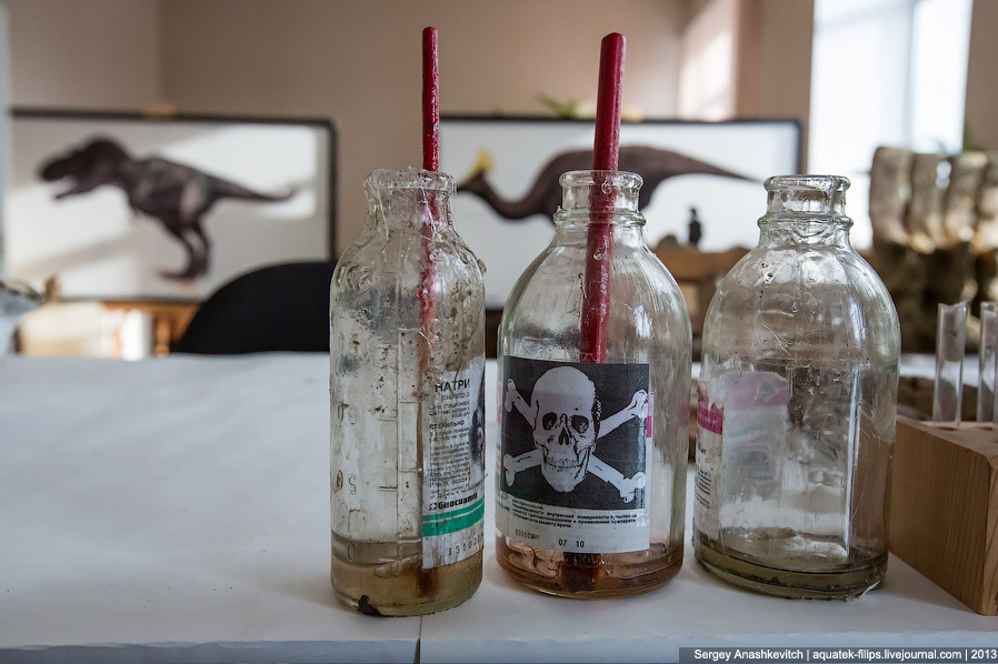 Как реставрируют динозавров Как реставрируют динозавров