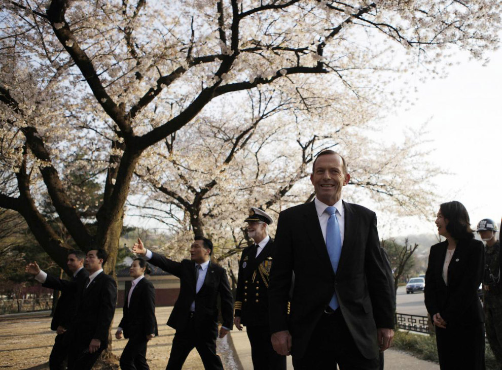 Фестиваль цветения вишни