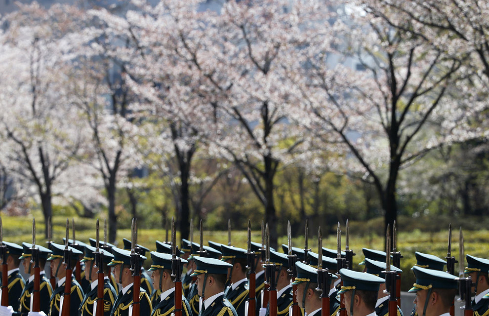 Фестиваль цветения вишни