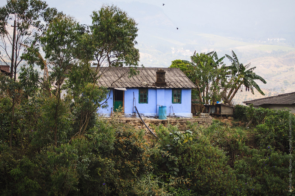 Чайные плантации Муннара