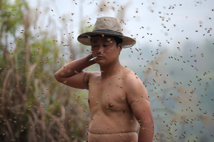 «Живой костюм» из пчел