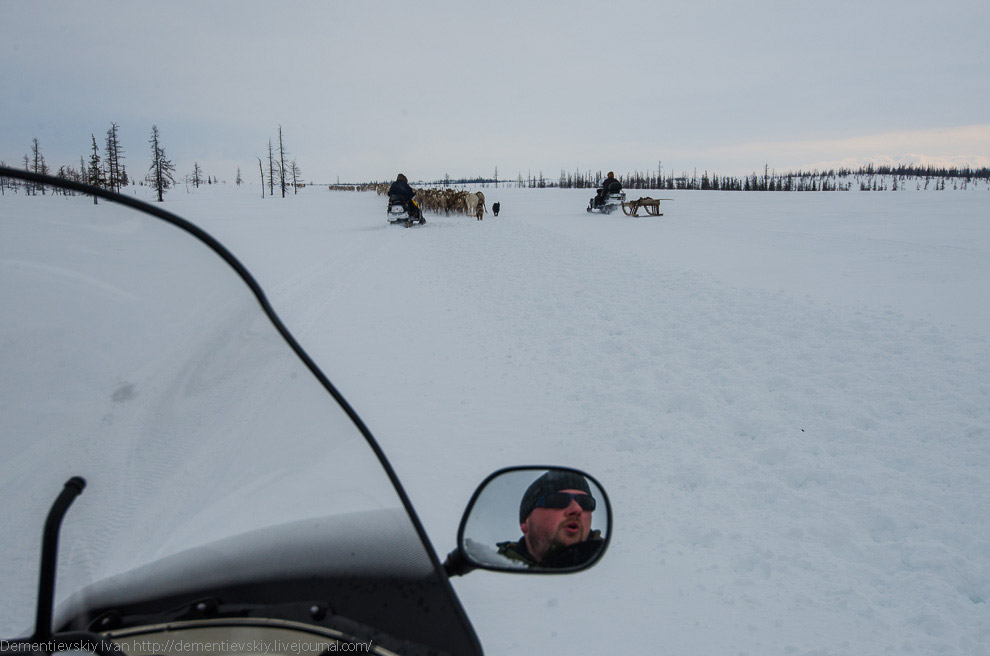 Путешествие по тундре и День оленевода Путешествие по тундре и День оленевода